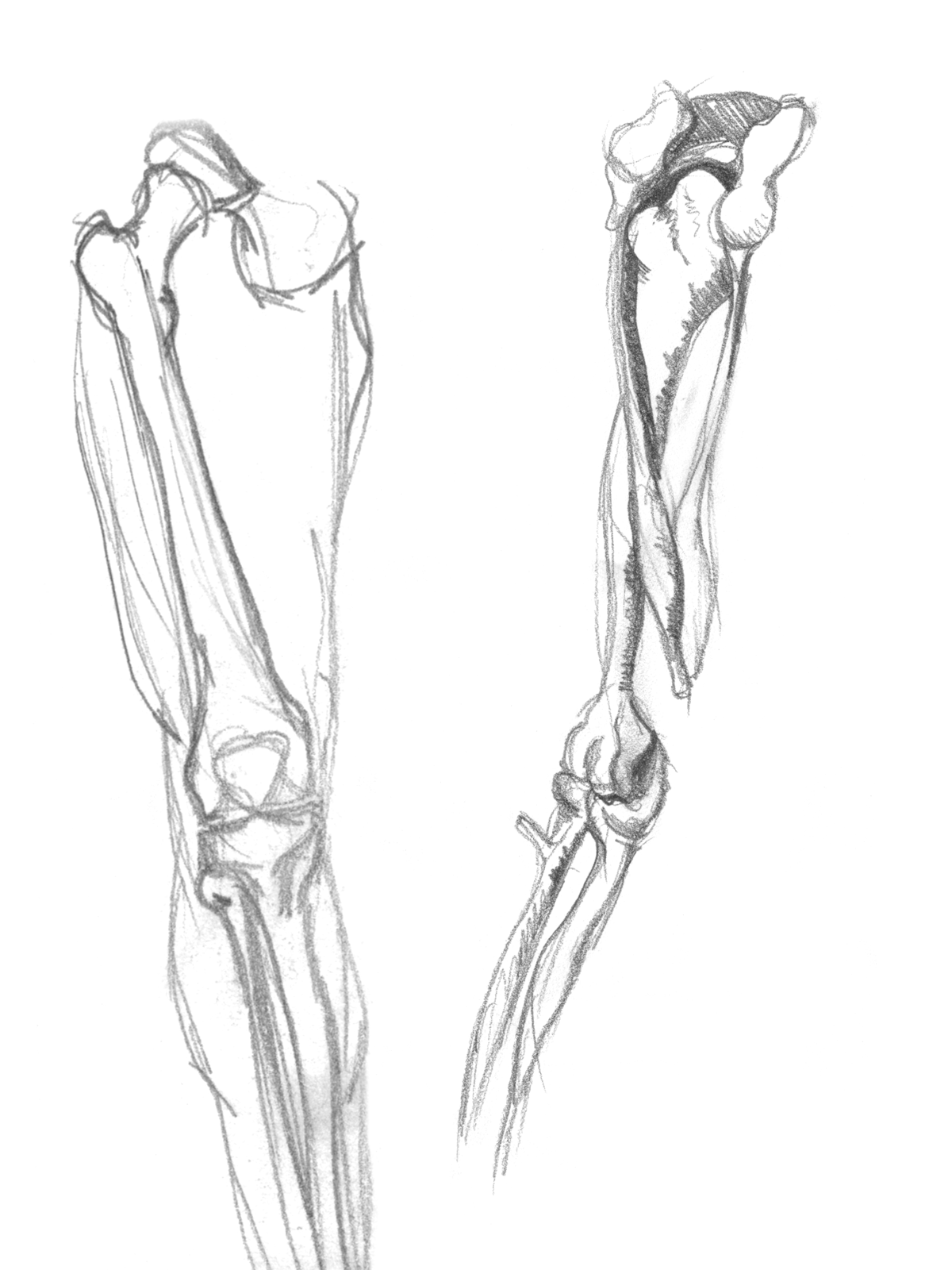 A drawing of two arms and legs with one arm bent over the other.